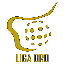 Liga Oro Temporada 2026-2027 Sénior Masculina